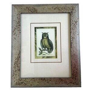 Vintage "Majestic Perch" Owl Art Print Custom Mottled Gilded Frame 14" x 17"